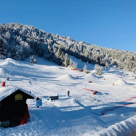 Apartment In Morzine - Ski In - Sleeps 6 Bagian luar foto